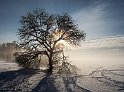 Åsunden vinter8